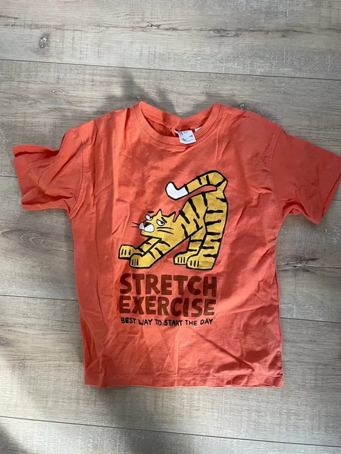 Tee-shirt Tigre Zara 5 ans