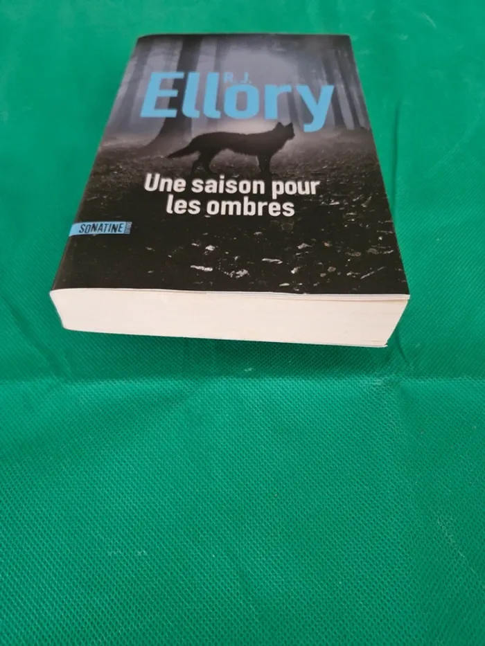 Une saison pour les ombres R.J. Ellory - photo numéro 2