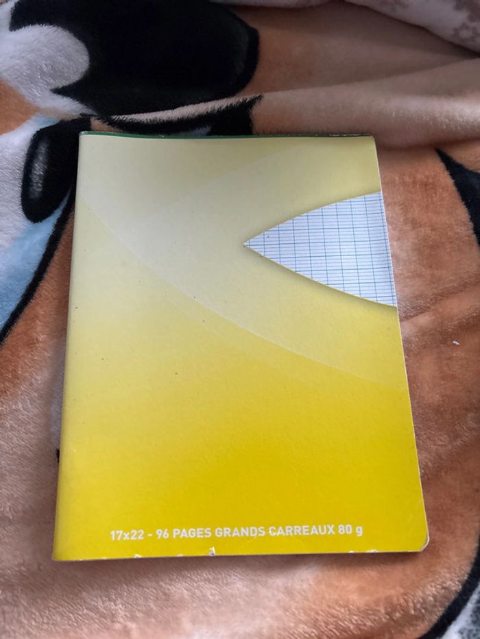 Lot cahier - photo numéro 6