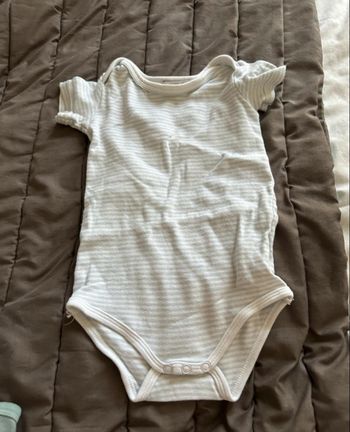 Body manches courtes