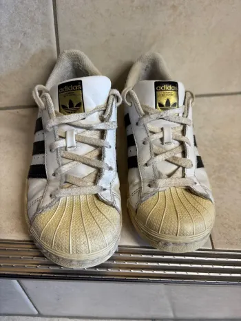 Adidas superstar 34