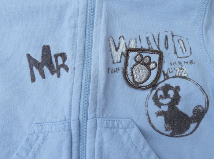 Joli sweeat à capuche zippé garçon 12 mois (74 cm) - photo numéro 2