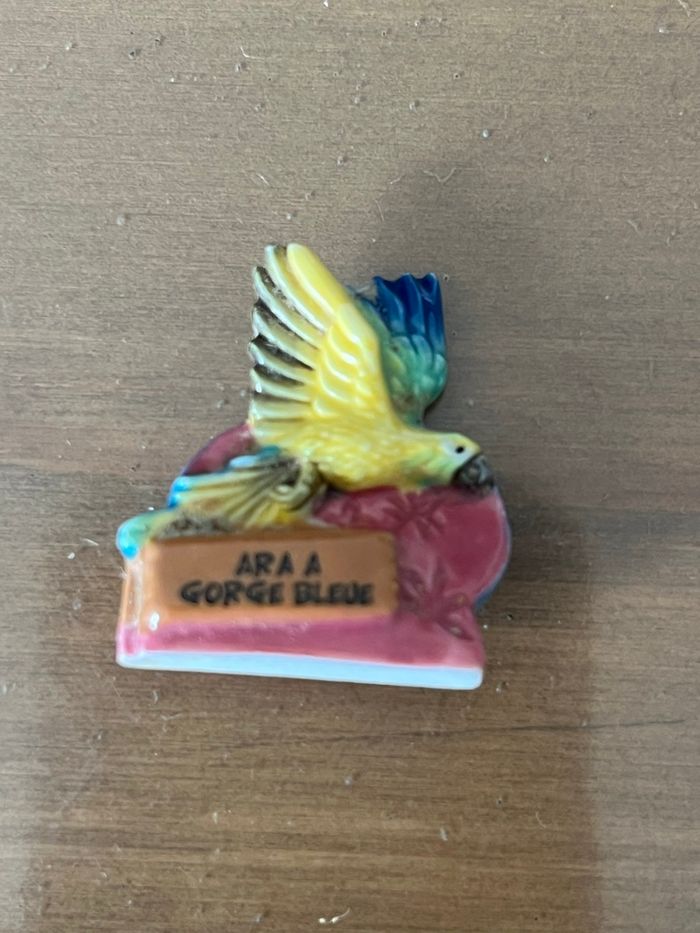 Fève Bolivie Ara à gorge bleue