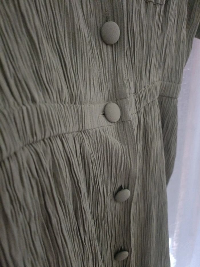 Robe kaki berger du nord - photo numéro 3