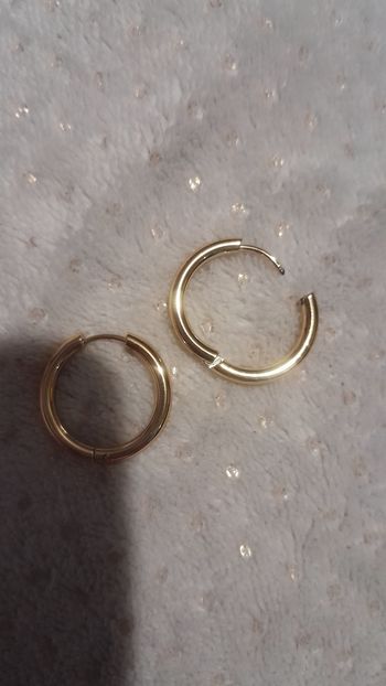 Boucles d'oreilles
