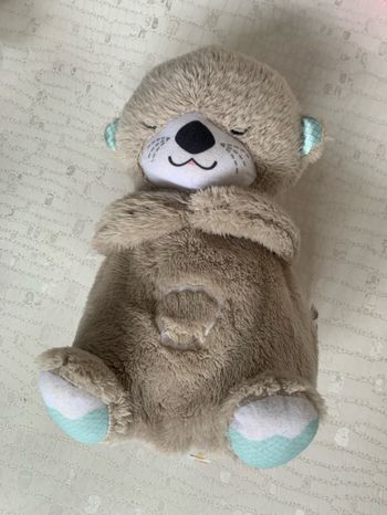 Ma loutre câlin