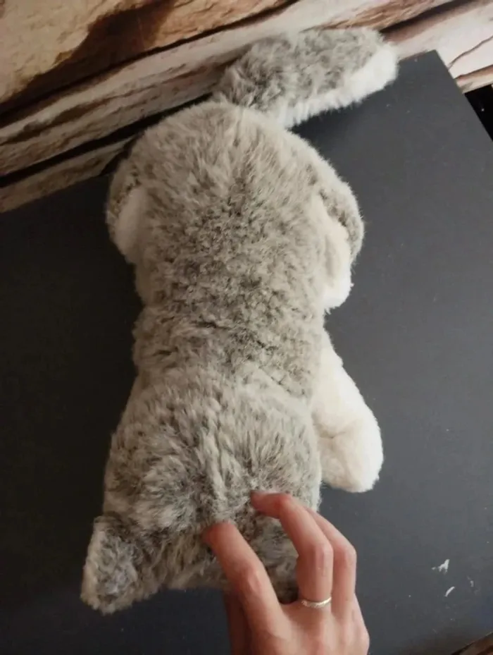 🐻Peluche Husky 🐻 - photo numéro 6