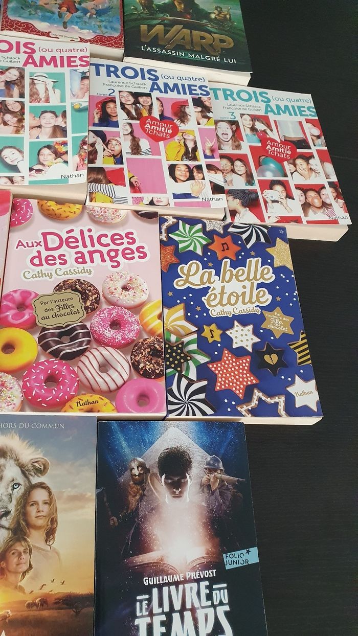 Lot de 12 livres - photo numéro 5