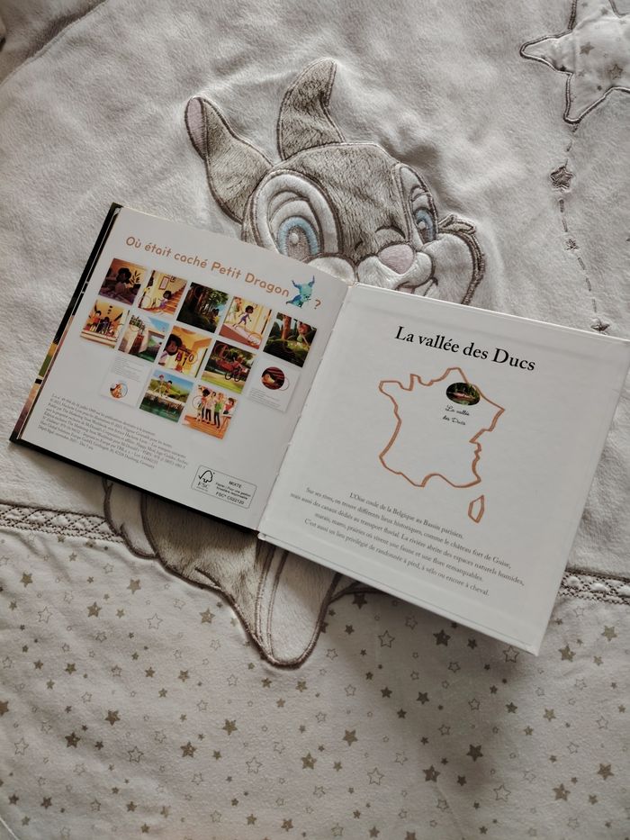 Livre la vallée - photo numéro 4