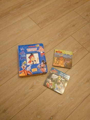 3 Livres Disney