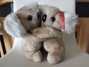 Peluches koalas 🐨