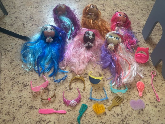 VIP pets - photo numéro 2