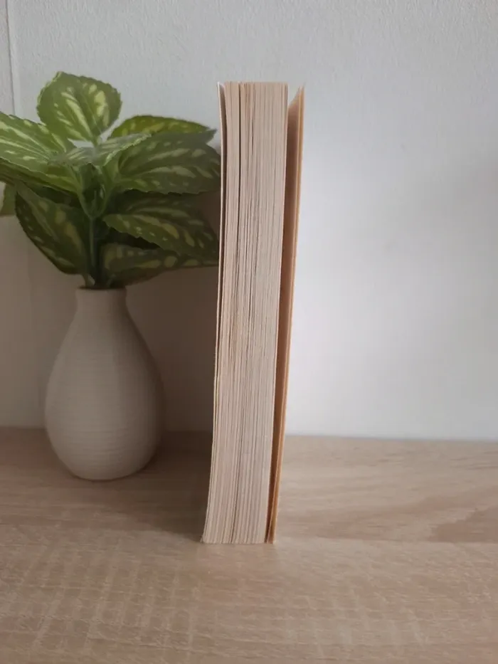 Livre / Le bal des louves tome 1 - photo numéro 4