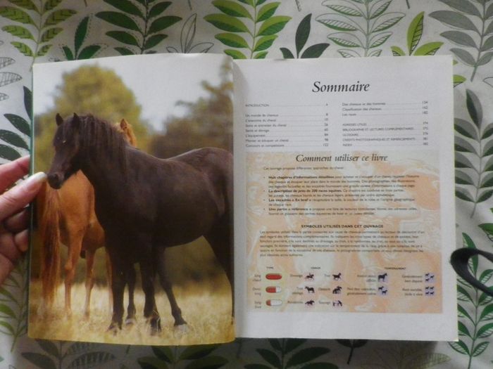 L'Encyclopédie des chevaux & poneys Ed. LLC - photo numéro 4