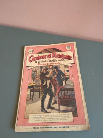 Comtesse et mendiante la destinée roman