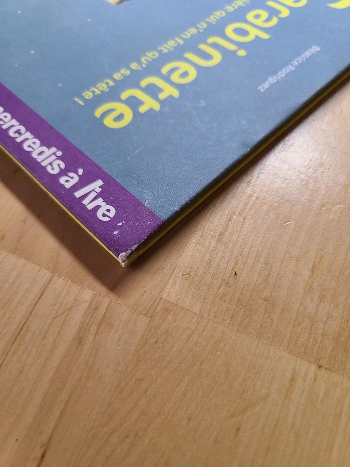 Carabinette, la petite sorcière qui n'en fait qu'à sa tête ! - photo numéro 4