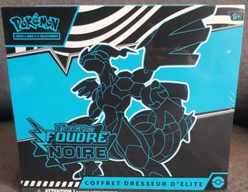 Etb pokémon EV10.5