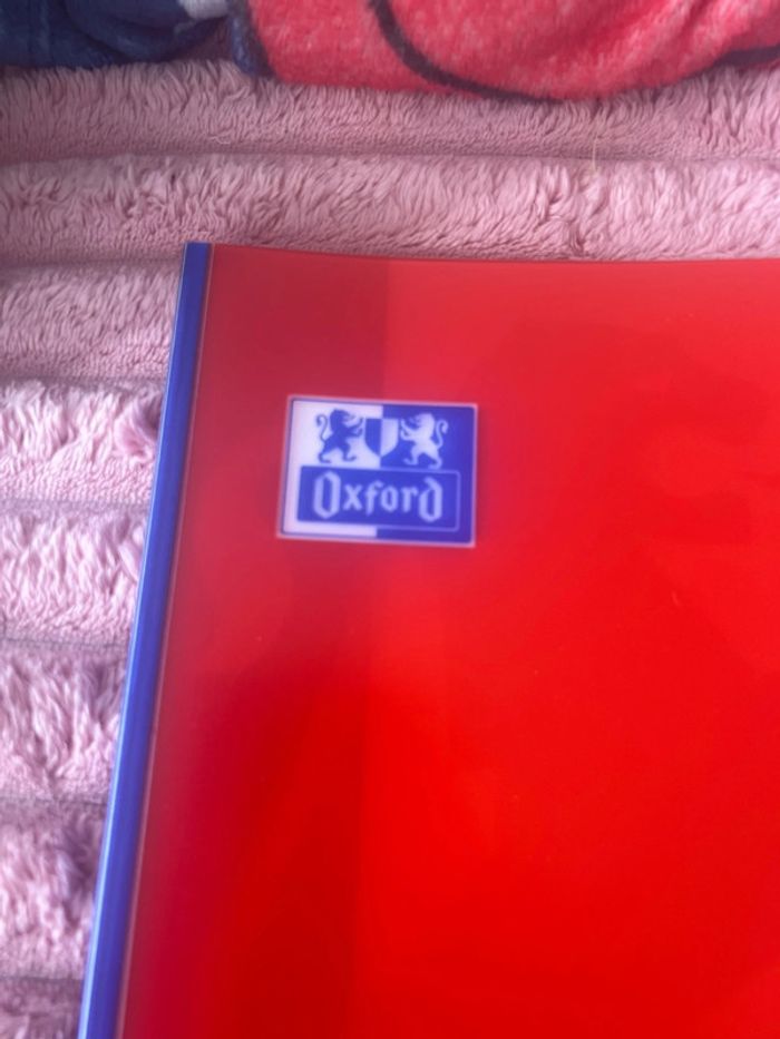 Cahier grand carreaux - photo numéro 2