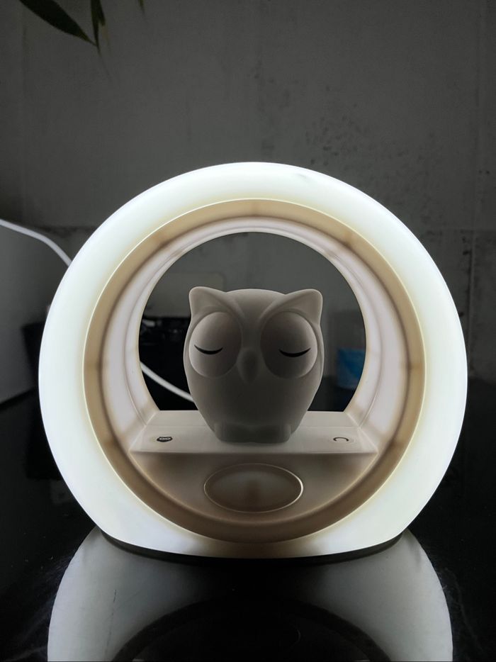 Veilleuse hibou - photo numéro 3