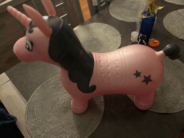 Licorne sauteuse - photo numéro 3