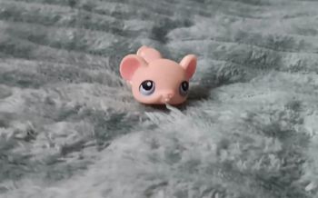 Petshop souris 103