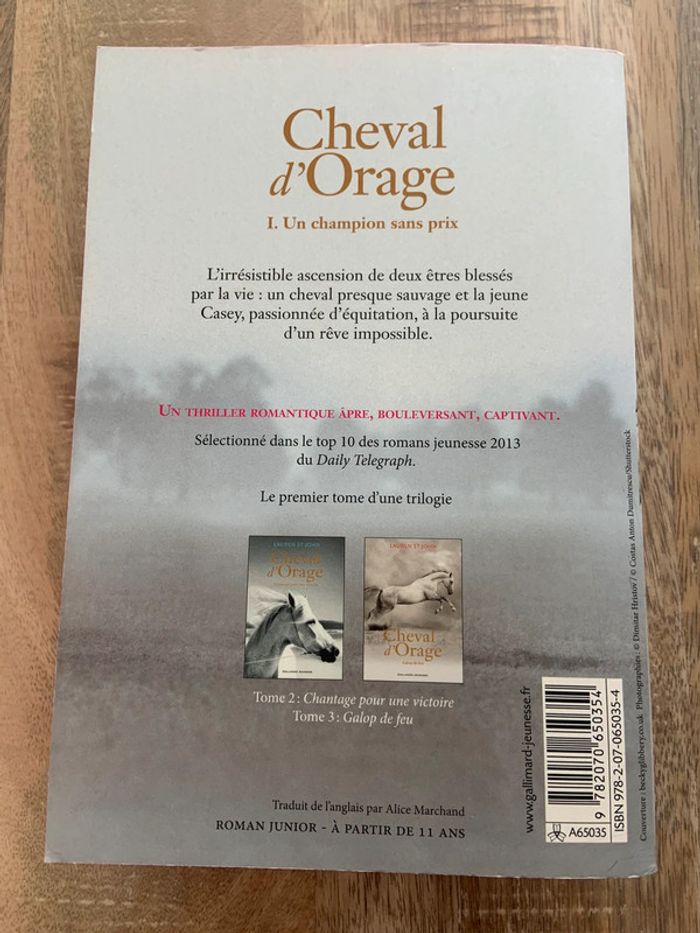Cheval d’orage - photo numéro 2
