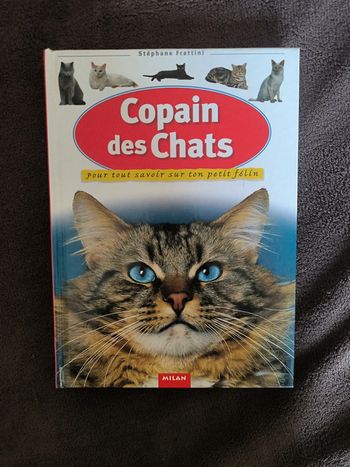 Copain des chats