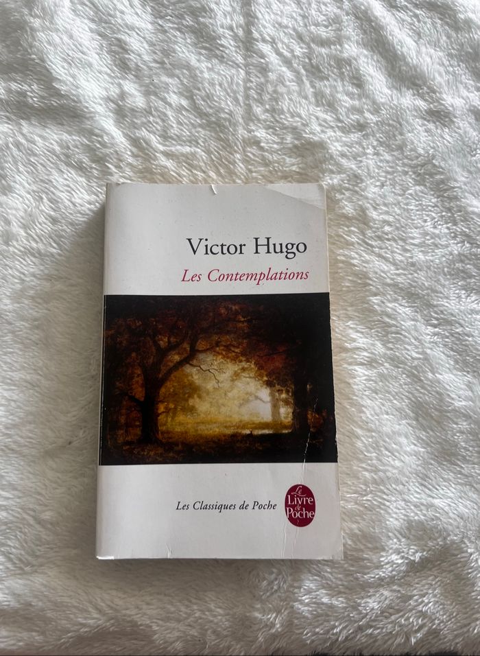 Victor hugo les contemplations