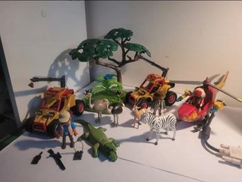 Chasseurs d'animaux sauvages Playmobil