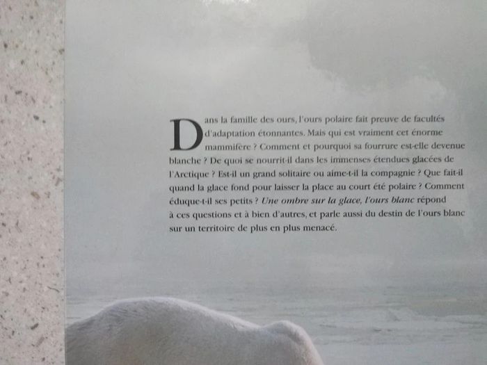 Une ombre sur la glace, l'ours blanc - photo numéro 3