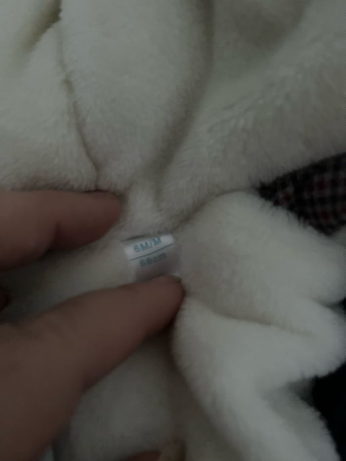 Menteau - photo numéro 3