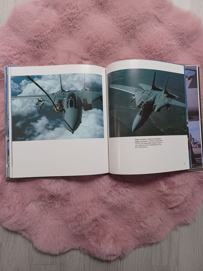 Livre pilotes de top gun - photo numéro 3