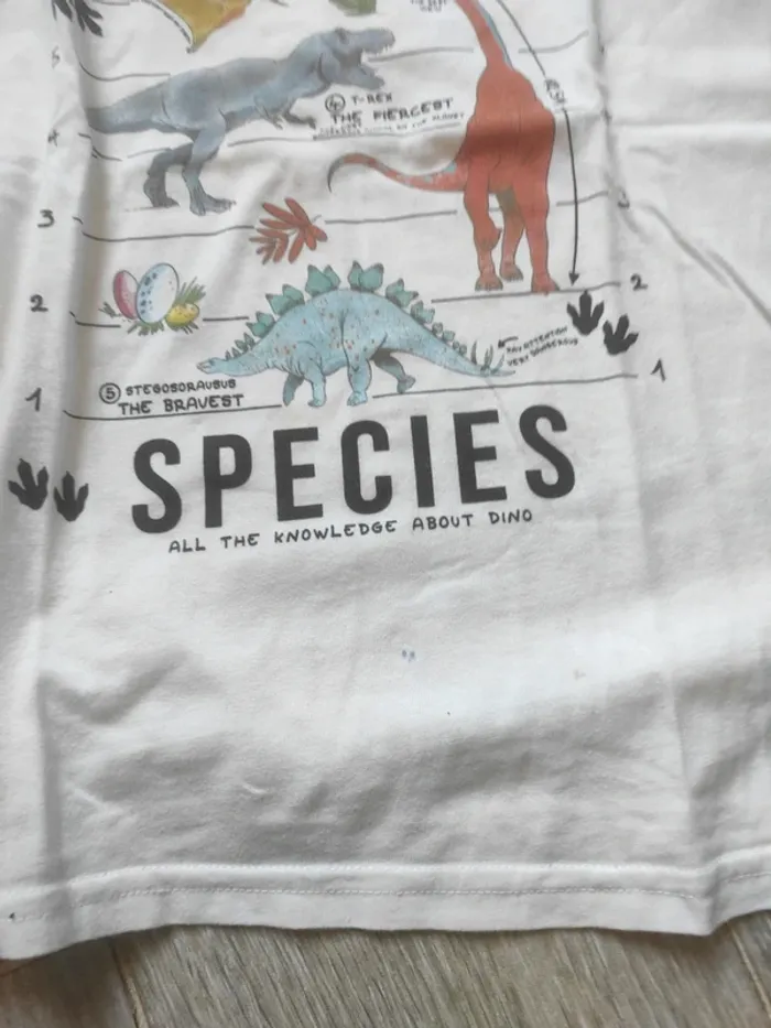 Lot 2 tee shirt taille 10 ans - photo numéro 3