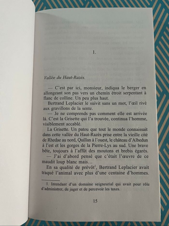 « L’or maudit » de Mireille Calmel - photo numéro 6