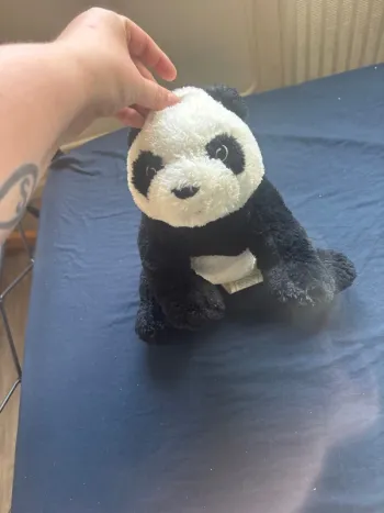 Panda peluche
