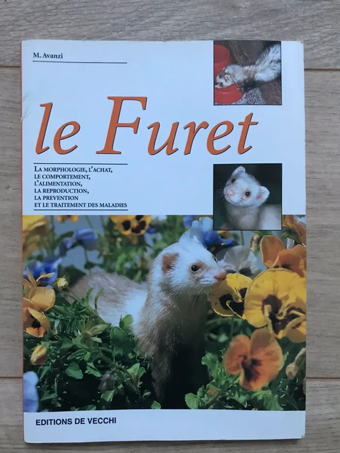 Lire sur le furet