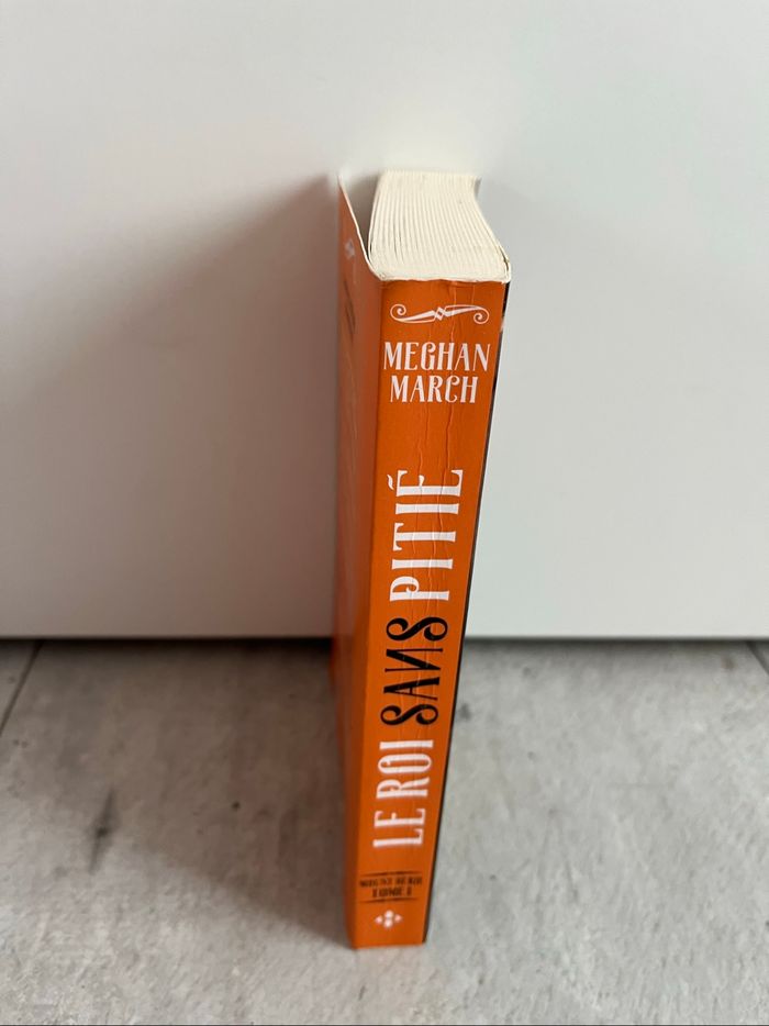 Le roi sans pitié de Meghan March - photo numéro 3