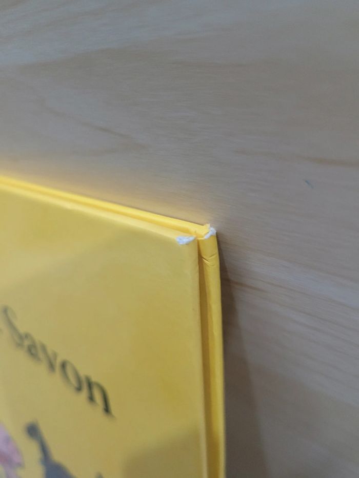 🌺 Livre rigide (école des loisirs) : Brosse et Savon - photo numéro 6