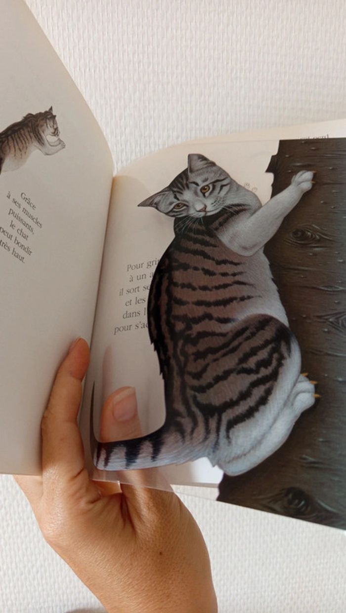 Livre interactif 🔸 les chats - photo numéro 4
