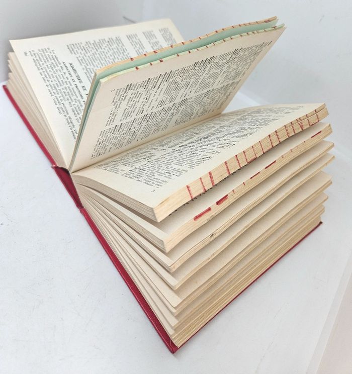 Dictionnaire Français - Espagnol / Español - Francés Larousse - photo numéro 6