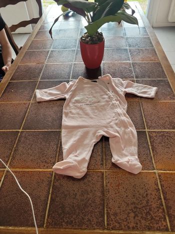 Pyjama  grenouillère oie