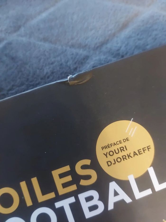 Les étoiles du football 2021 - photo numéro 3