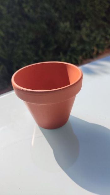 Petit pot en terre pour fleurs