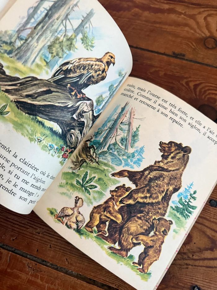 Livre ancien vintage Boum et ses frères ours les albums roses Hachette Pierre Probst Caroline - photo numéro 6