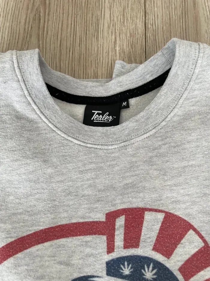 Sweat gris tealer - photo numéro 2