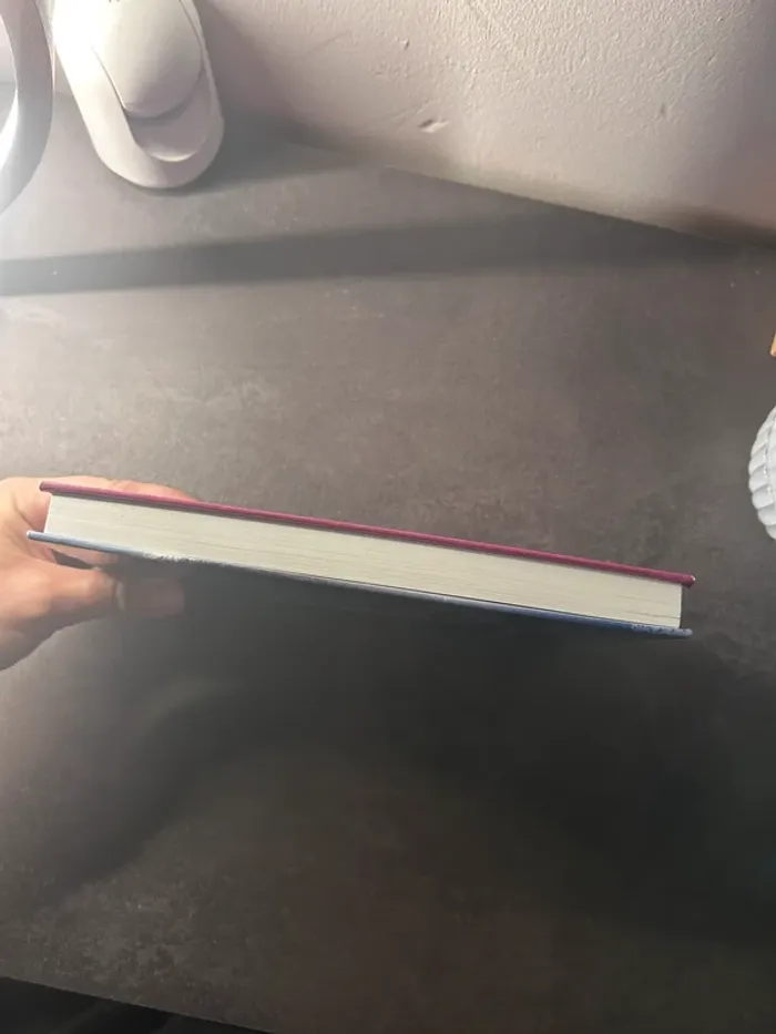 Livre joyeux pudding de noël - photo numéro 5