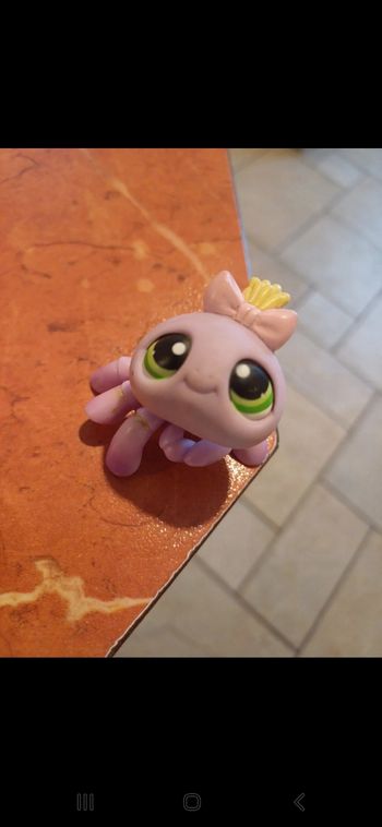 Little Petshop araignée