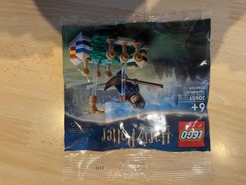 LEGO 30651 Harry Potter Entraînement au Quidditch – Neuf, Scellé