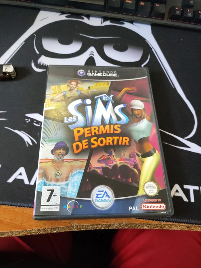 Sims permis de sortir