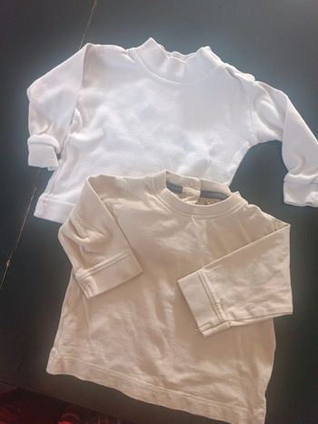 Lot de 2 tee shirt manches longues 3 mois